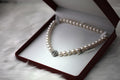 Collar perlas elegante mujer joya atemporal
